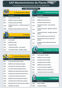 Principales Transacciones para Datos Maestros SAP PM